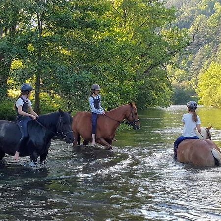 Muehle In Der Pferdewelt Reichenau Lägenhet Exteriör bild
