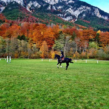 Muehle In Der Pferdewelt Reichenau Lägenhet Exteriör bild