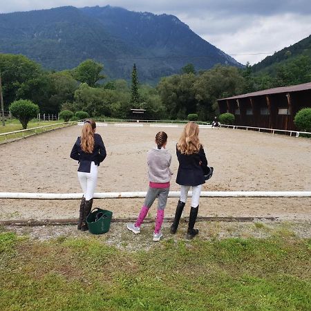 Muehle In Der Pferdewelt Reichenau Lägenhet Exteriör bild