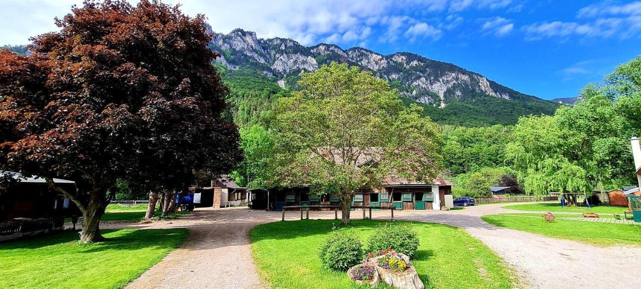 Muehle In Der Pferdewelt Reichenau Lägenhet Exteriör bild